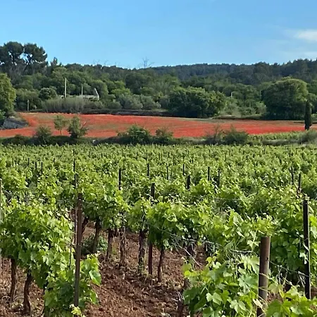 Modern Centrally Located In * Quarante